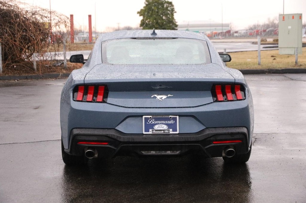 Ford Mustang Vehicle Image 06