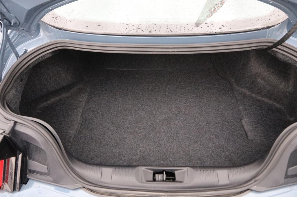 Ford Mustang Vehicle Image 07