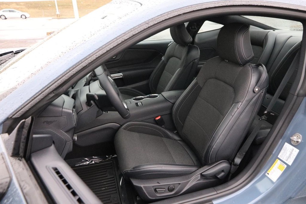 Ford Mustang Vehicle Image 08