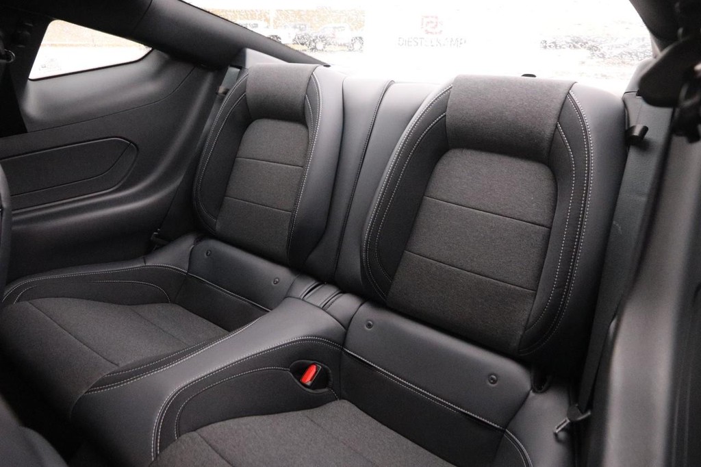 Ford Mustang Vehicle Image 09