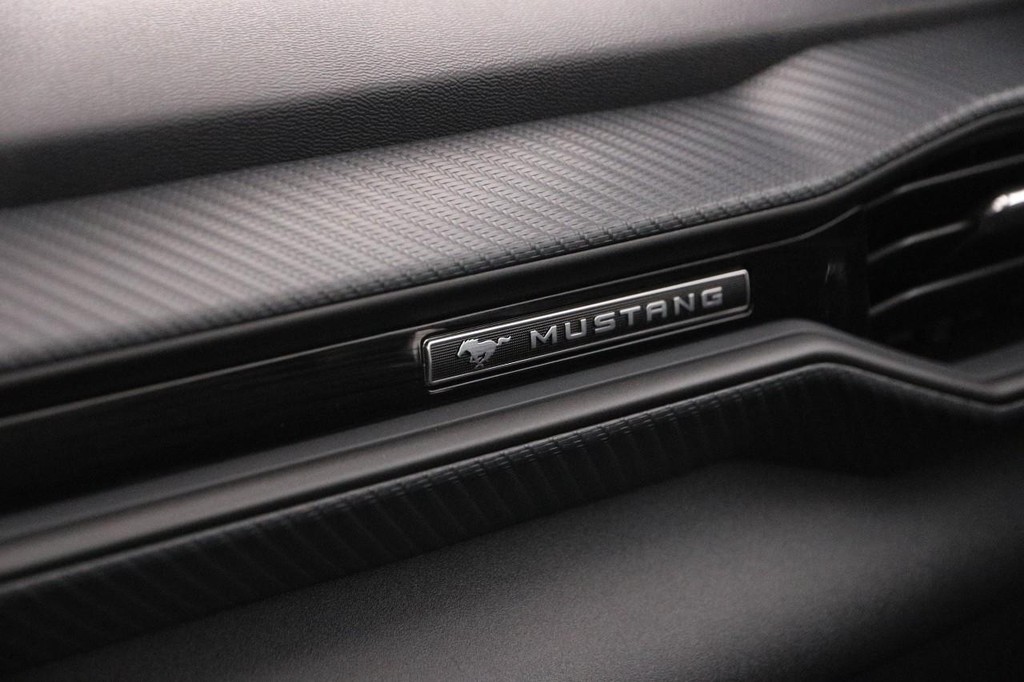 Ford Mustang Vehicle Image 19