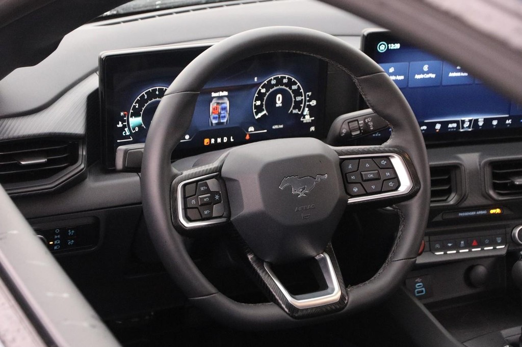 Ford Mustang Vehicle Image 21