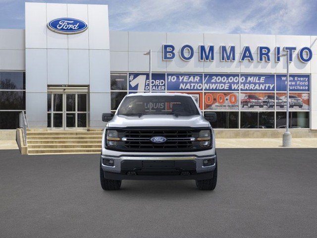 Ford F-150 Vehicle Image 06