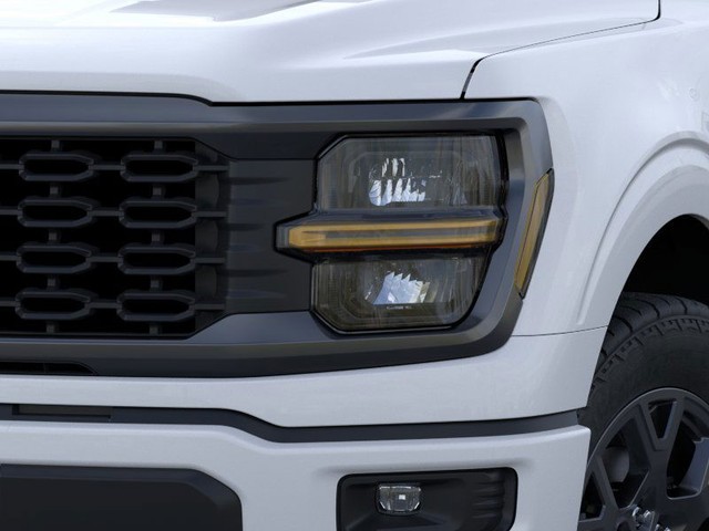 Ford F-150 Vehicle Image 18