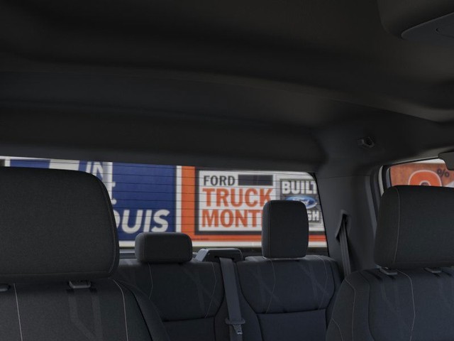 Ford F-150 Vehicle Image 22