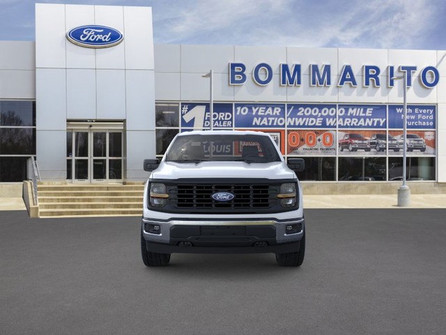 Ford F-150 Vehicle Image 06