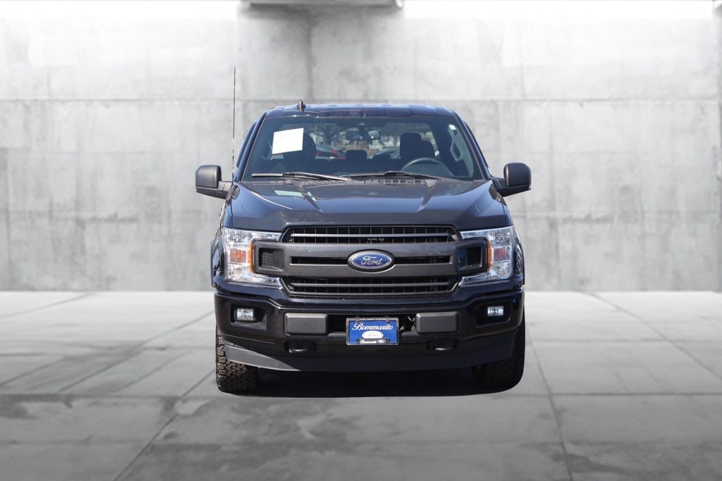 Ford F-150 Vehicle Image 04