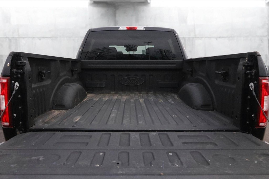 Ford F-150 Vehicle Image 07