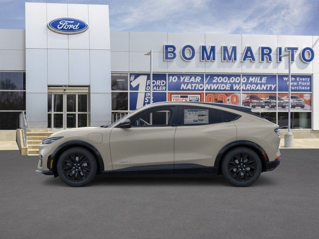 Ford Mustang Mach-E Vehicle Image 03