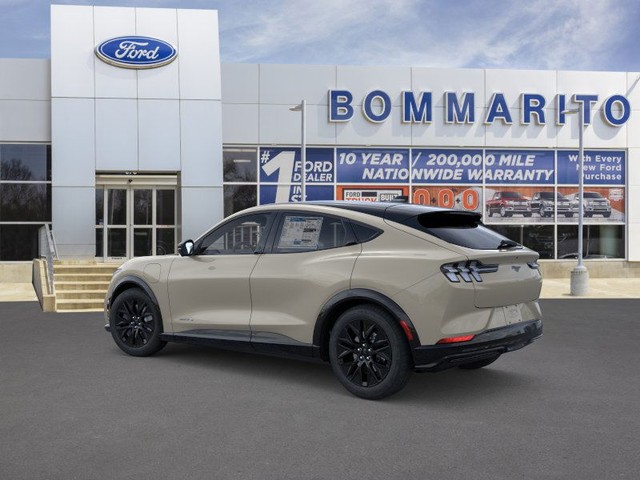 Ford Mustang Mach-E Vehicle Image 04