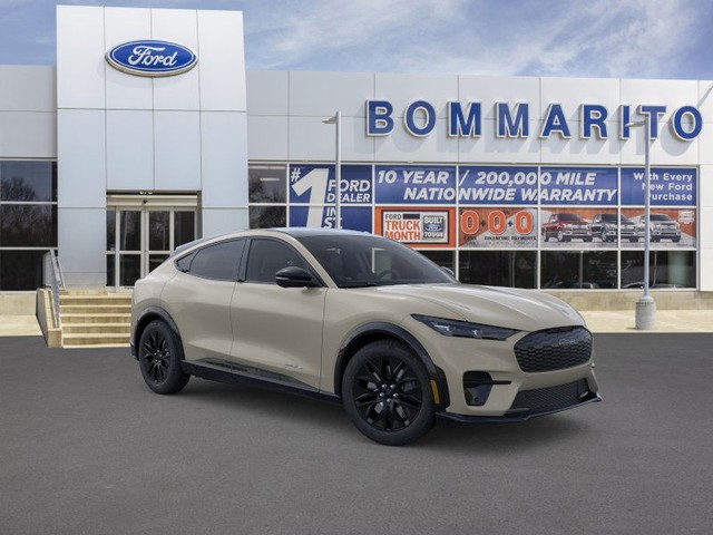 Ford Mustang Mach-E Vehicle Image 07