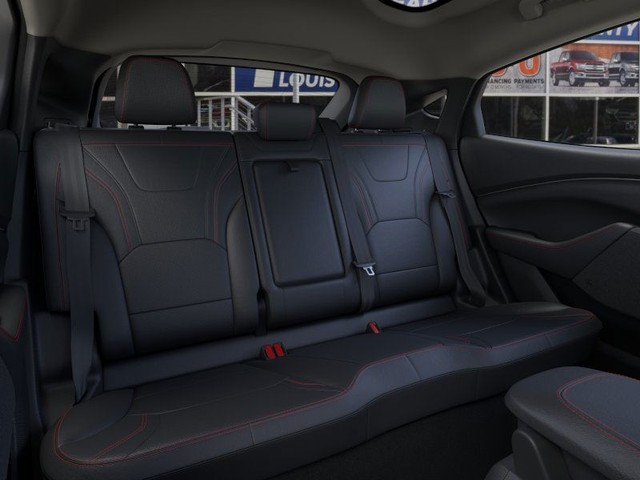 Ford Mustang Mach-E Vehicle Image 11