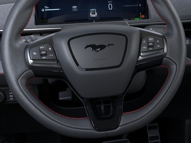Ford Mustang Mach-E Vehicle Image 12