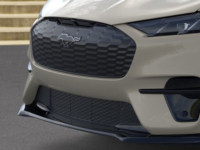 Ford Mustang Mach-E Vehicle Image 17