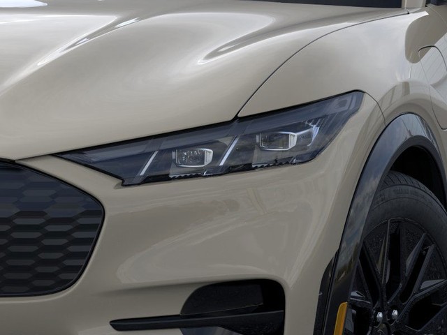 Ford Mustang Mach-E Vehicle Image 18