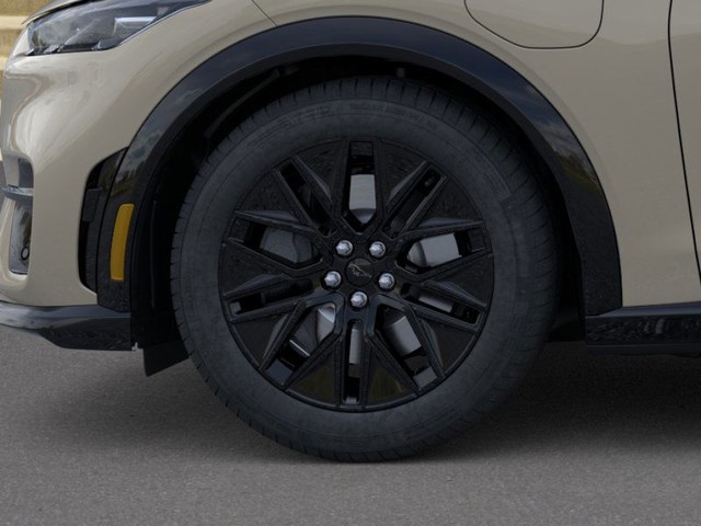 Ford Mustang Mach-E Vehicle Image 19