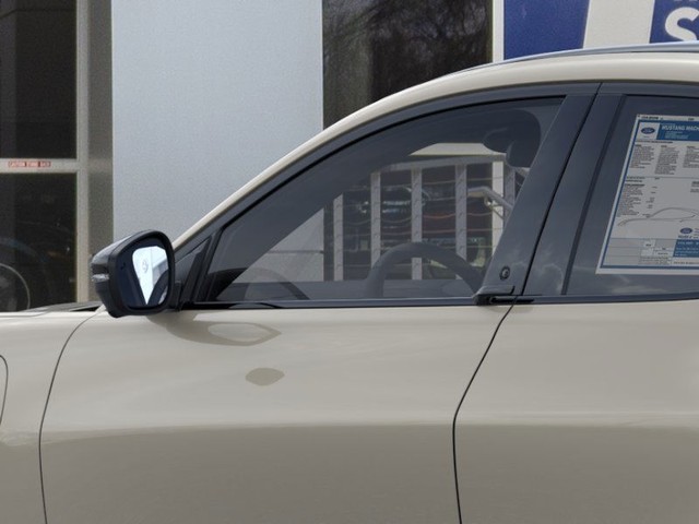 Ford Mustang Mach-E Vehicle Image 20