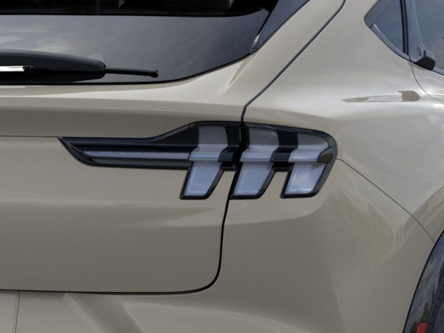Ford Mustang Mach-E Vehicle Image 21
