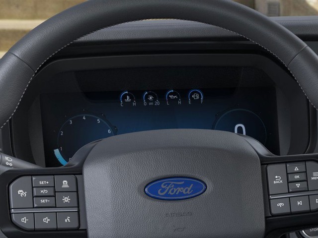 Ford F-150 Vehicle Image 13