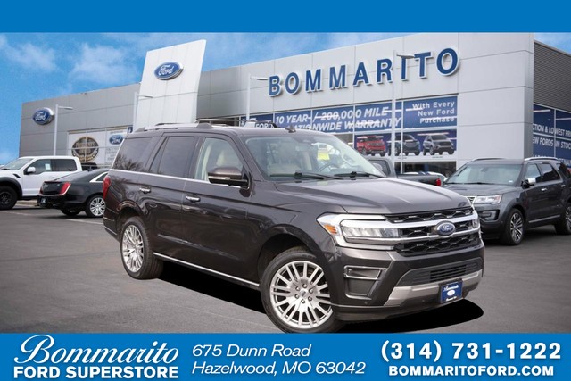 more details - ford expedition