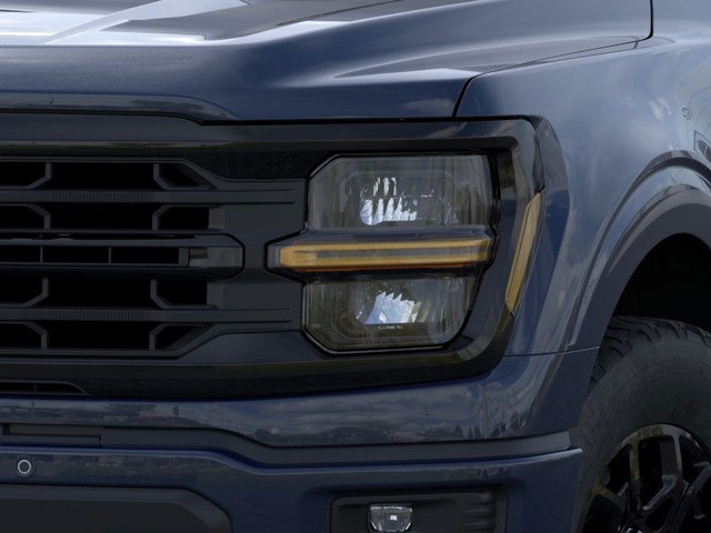 Ford F-150 Vehicle Image 18