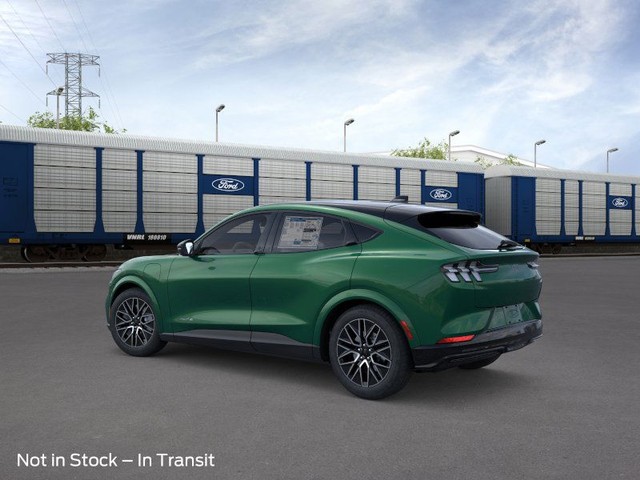 Ford Mustang Mach-E Vehicle Image 04