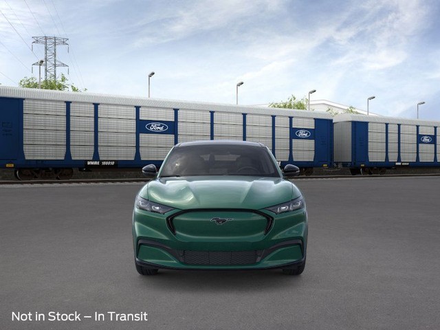 Ford Mustang Mach-E Vehicle Image 06