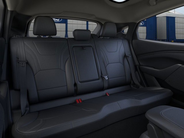 Ford Mustang Mach-E Vehicle Image 11