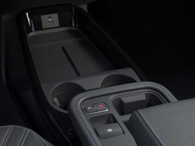 Ford Mustang Mach-E Vehicle Image 15