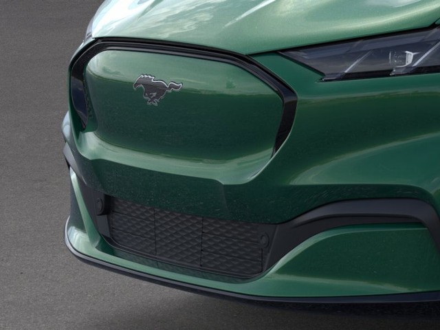 Ford Mustang Mach-E Vehicle Image 17
