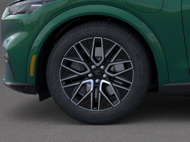 Ford Mustang Mach-E Vehicle Image 19