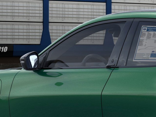 Ford Mustang Mach-E Vehicle Image 20