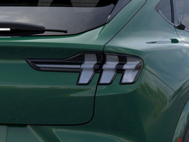 Ford Mustang Mach-E Vehicle Image 21