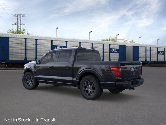 Ford F-150 Vehicle Image 04