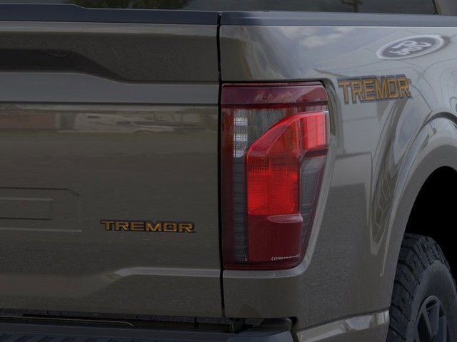 Ford F-150 Vehicle Image 21