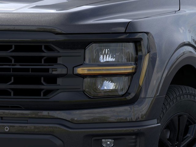 Ford F-150 Vehicle Image 18