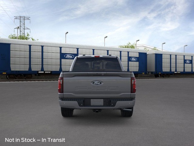 Ford F-150 Vehicle Image 05