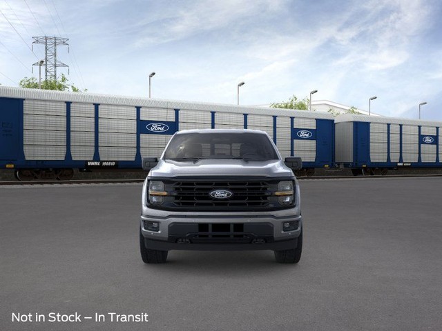 Ford F-150 Vehicle Image 06