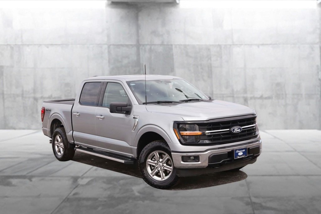 Ford F-150 Vehicle Image 02