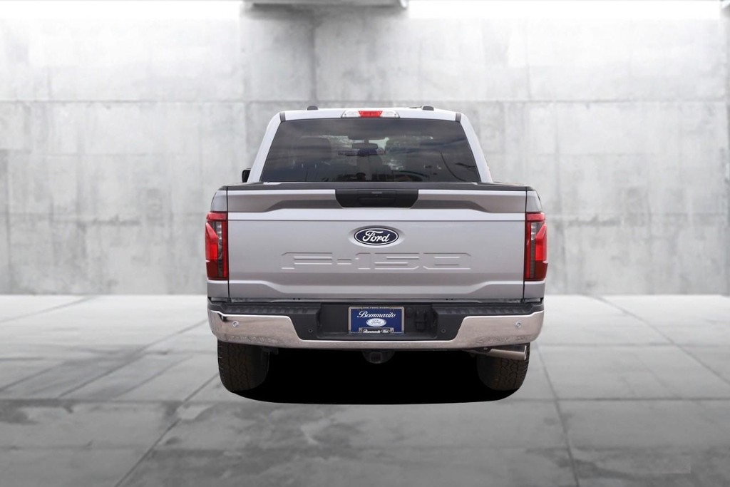 Ford F-150 Vehicle Image 06
