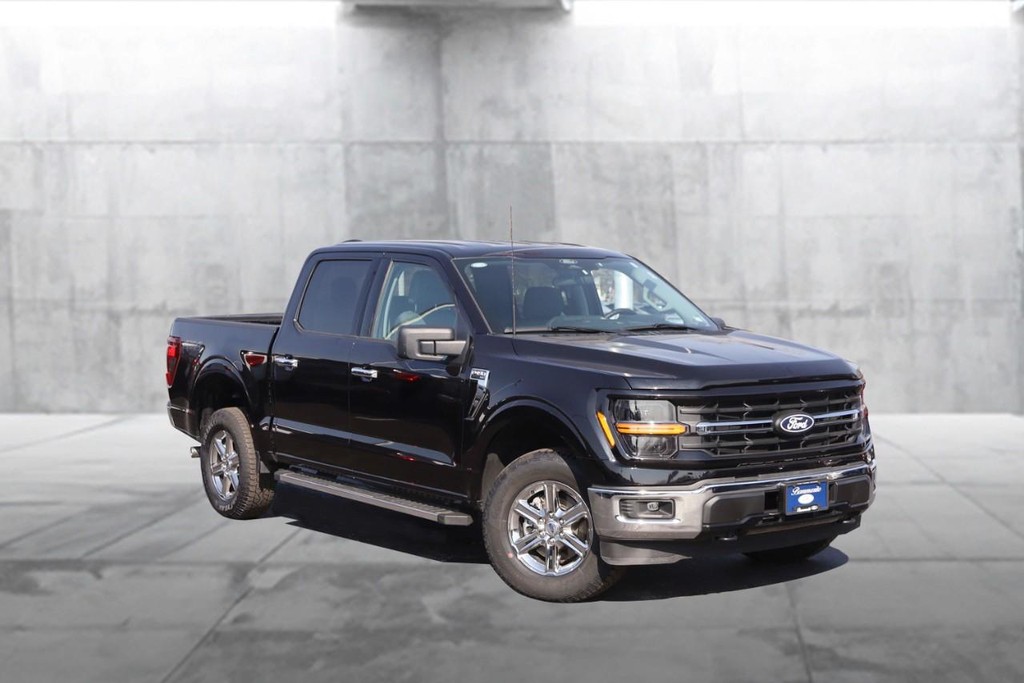 Ford F-150 Vehicle Image 02