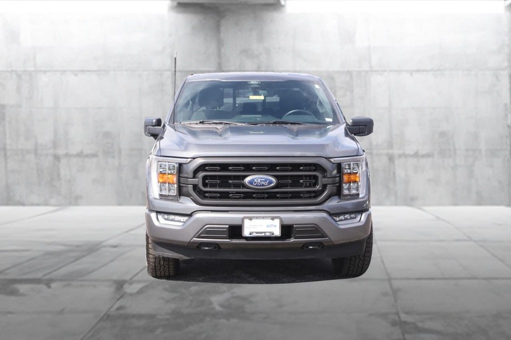 Ford F-150 Vehicle Image 04
