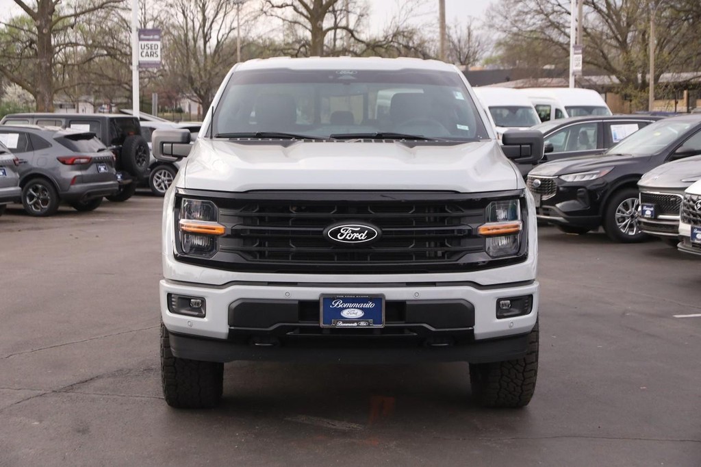 Ford F-150 Vehicle Image 04
