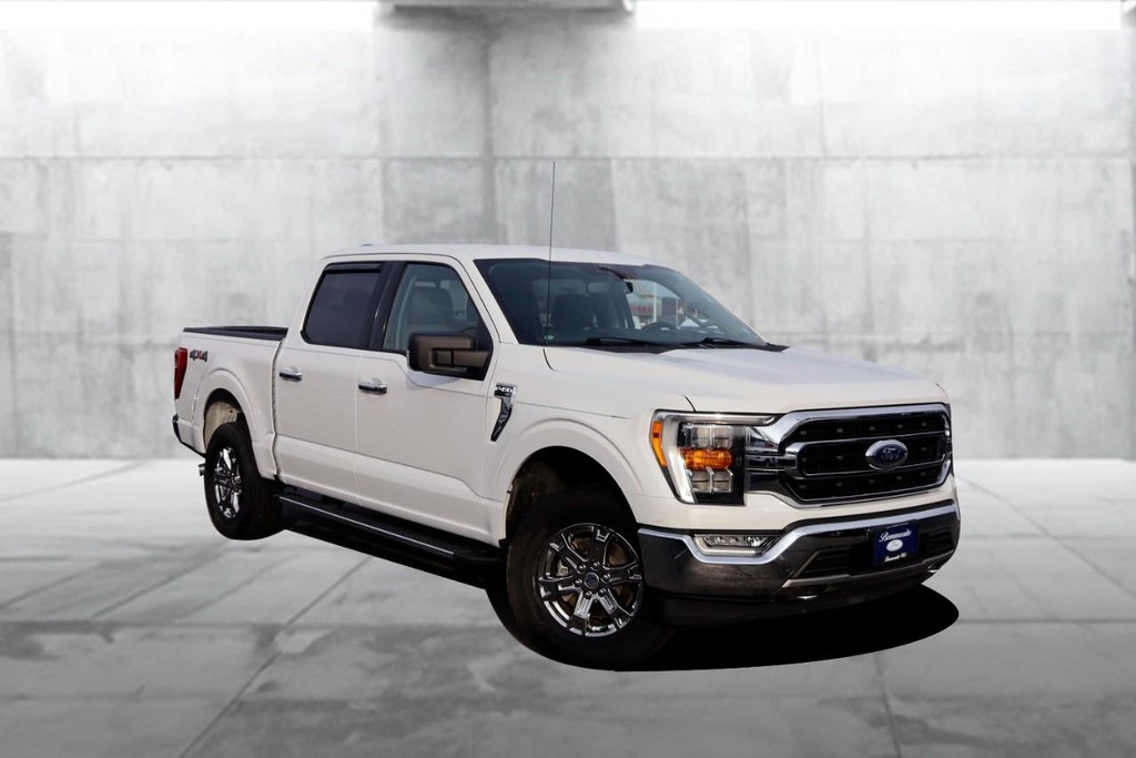 Ford F-150 Vehicle Image 02