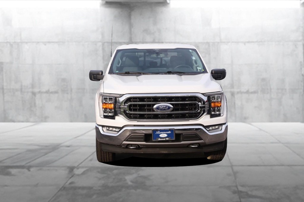 Ford F-150 Vehicle Image 04