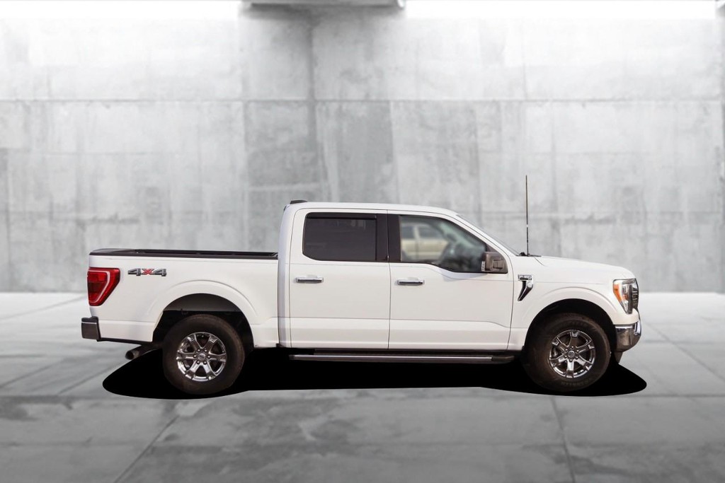Ford F-150 Vehicle Image 05