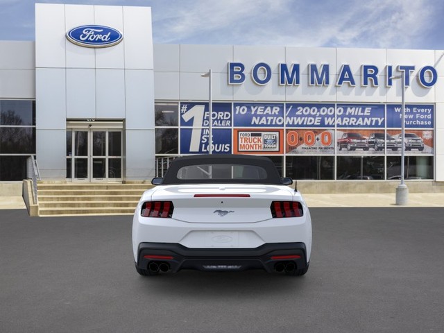 Ford Mustang Vehicle Image 05