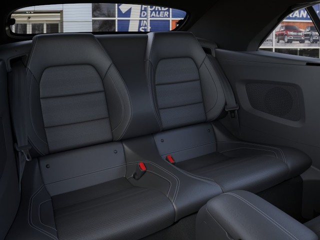 Ford Mustang Vehicle Image 11