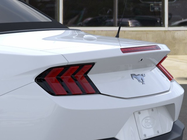 Ford Mustang Vehicle Image 22