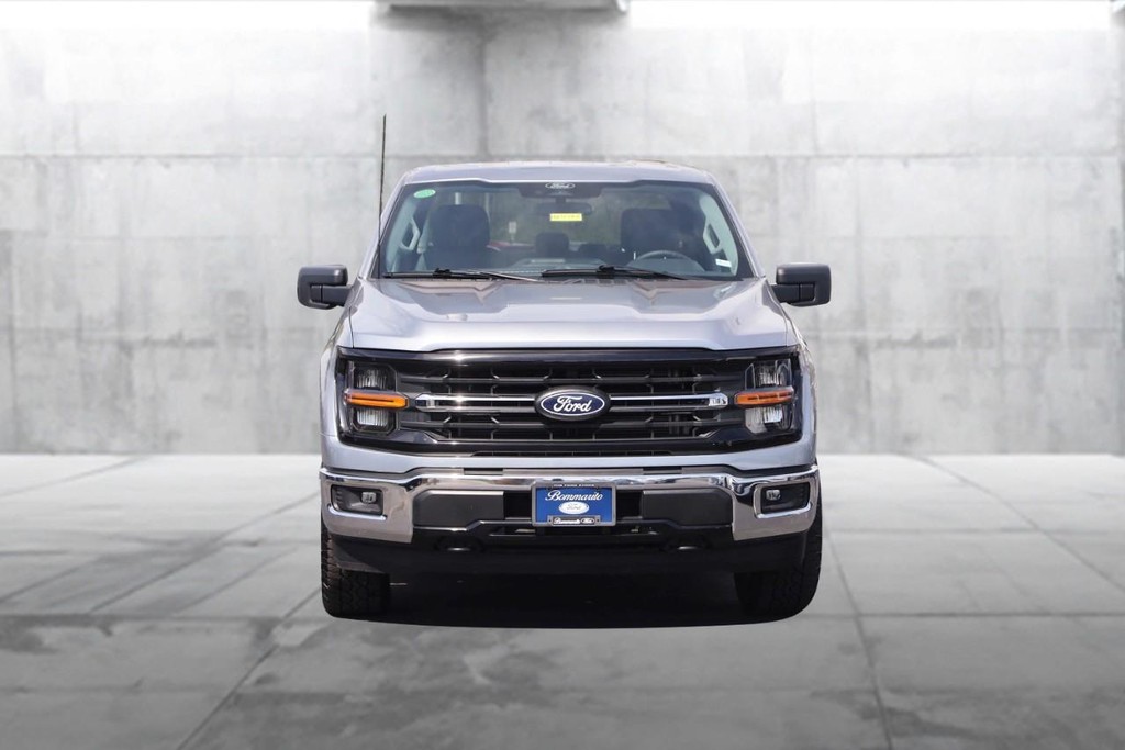 Ford F-150 Vehicle Image 04